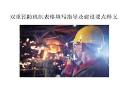 雙重預(yù)防機制建設(shè)要點解析及表格填寫指導(dǎo)pptx