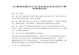 目部企業(yè)安全生產(chǎn)費(fèi)用管理辦法(1)docx