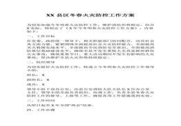 縣區(qū)冬春火災防控工作方案（9頁）(1)docx
