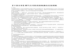 【干貨分享】燃氣公司防范恐怖襲擊應急預案docx