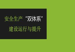 排查治理雙體系運(yùn)行與提升pptx