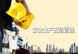 安全生產(chǎn)應(yīng)急管理培訓(xùn)ppt