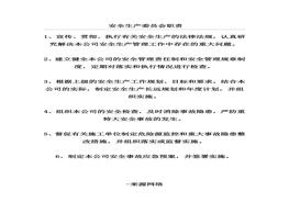 安全生產(chǎn)委員會(huì)職責(zé)docx