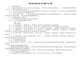 淹溺事故現(xiàn)場處置方案docx