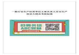 一般行業(yè)生產(chǎn)經(jīng)營單位主要負(fù)責(zé)人安全生產(chǎn)培訓(xùn)大綱及考核標(biāo)準(zhǔn)doc