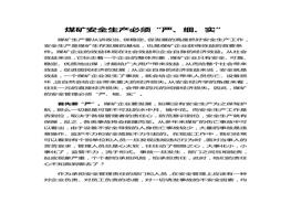 安全生產(chǎn)必須“嚴(yán)實(shí)細(xì)”doc