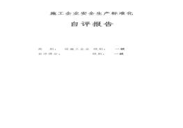 施工企業(yè)安全生產(chǎn)標(biāo)準(zhǔn)化自評(píng)報(bào)告docx