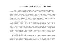 年度水電站安全工作總結(jié)docx