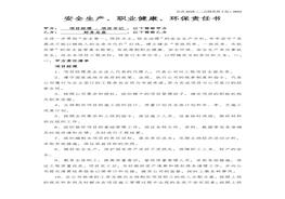 務(wù)總監(jiān)責(zé)任書(shū)docx