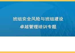 班組安全風險與班組建設卓越管理pptx