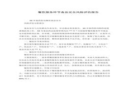 全風(fēng)險評估報告(1)docx