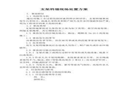 支架坍塌現(xiàn)場(chǎng)處置方案(1)docx