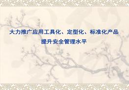 工具化、定型化、標(biāo)準(zhǔn)化產(chǎn)品的推廣和應(yīng)用ppt