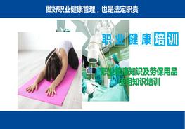 企業(yè)職業(yè)健康培訓(xùn)pptx