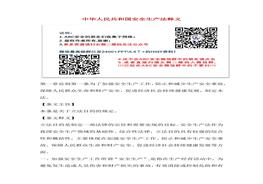 二零二一版《中華人民共和國安全生產(chǎn)法釋義》docx