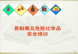 K20201210易制毒化學(xué)品安全培訓(xùn)pptx