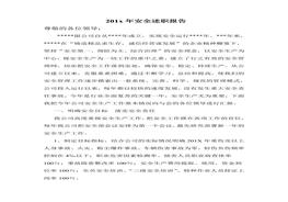 公司負責人安全述職報告(1)doc