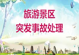 20200715旅游景區(qū)突發(fā)事件處理pptx