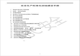 安全生產(chǎn)標(biāo)準(zhǔn)化班組建設(shè)手冊(cè) docx