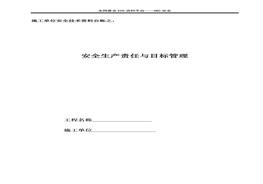 施工單位安全技術(shù)資料臺賬2：安全生產(chǎn)責(zé)任與目標管理doc