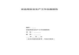 安監(jiān)局安全生產(chǎn)工作自查報(bào)告(1)docx