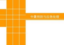 中暑預(yù)防與應(yīng)急處理知識pptx