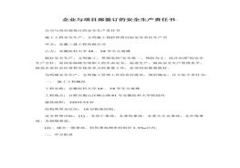 安全生產(chǎn)責任書(1)docx