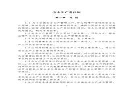 全生產(chǎn)責(zé)任制（13頁(yè)）doc