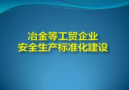冶金等工貿(mào)企業(yè)安全生產(chǎn)標準化建設pptx
