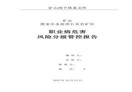職業(yè)病危害風(fēng)險分級管控報告docx