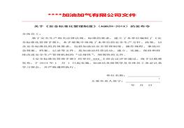 標(biāo)準(zhǔn)化質(zhì)量手冊(172頁）(2)doc