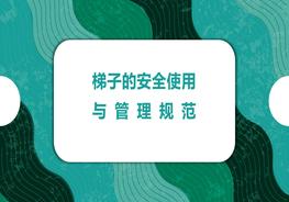 梯子的安全使用與管理規(guī)范pptx