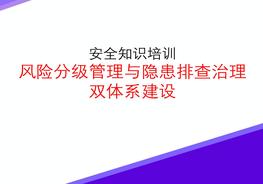 安全知識培訓(xùn)風(fēng)險(xiǎn)分級管理與隱患排查治理雙體系建設(shè)培訓(xùn)ppt
