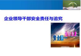 S20210730企業(yè)領(lǐng)導干部的安全責任、事故責任追究、處罰培訓、案例分析pptx