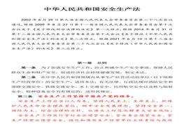 《2021版中華人民共和國安全生產(chǎn)法》docx