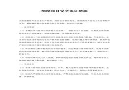 施（4頁）(1)docx