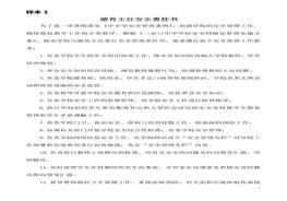 _學(xué)校網(wǎng)格化安全管理目標責任書doc