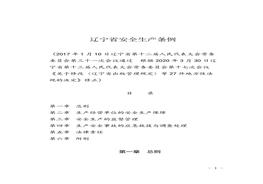 遼寧省安全生產(chǎn)條例doc