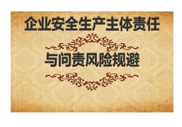 企業(yè)安全生產責任和問責風險規(guī)避（88頁）ppt