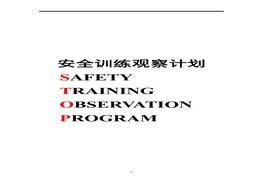 杜邦安全訓(xùn)練觀察計(jì)劃doc
