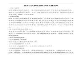 食堂火災(zāi)事故現(xiàn)場(chǎng)應(yīng)急處置預(yù)案doc