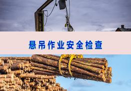 懸吊作業(yè)安全檢查pptx