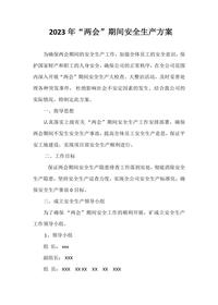 2023“兩會”期間安全生產(chǎn)工作方案匯編（9頁）docx