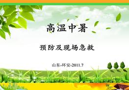 高溫中暑培訓(xùn)pptx