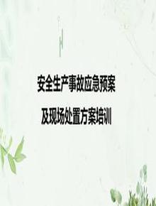安全現(xiàn)場安全應(yīng)急處置方案培訓(xùn)（30頁）pptx