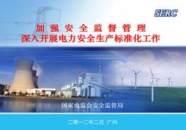 電力安全生產(chǎn)標(biāo)準(zhǔn)化ppt