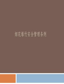 煙花爆竹安全管理?xiàng)l例課件PPTppt