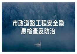市政道路工程隱患排查圖集（42頁(yè)）pptx