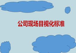 公司現(xiàn)場(chǎng)目視化標(biāo)準(zhǔn)pptx