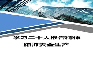 安全生產(chǎn)學(xué)習(xí)二十大報告精神心得體會docx